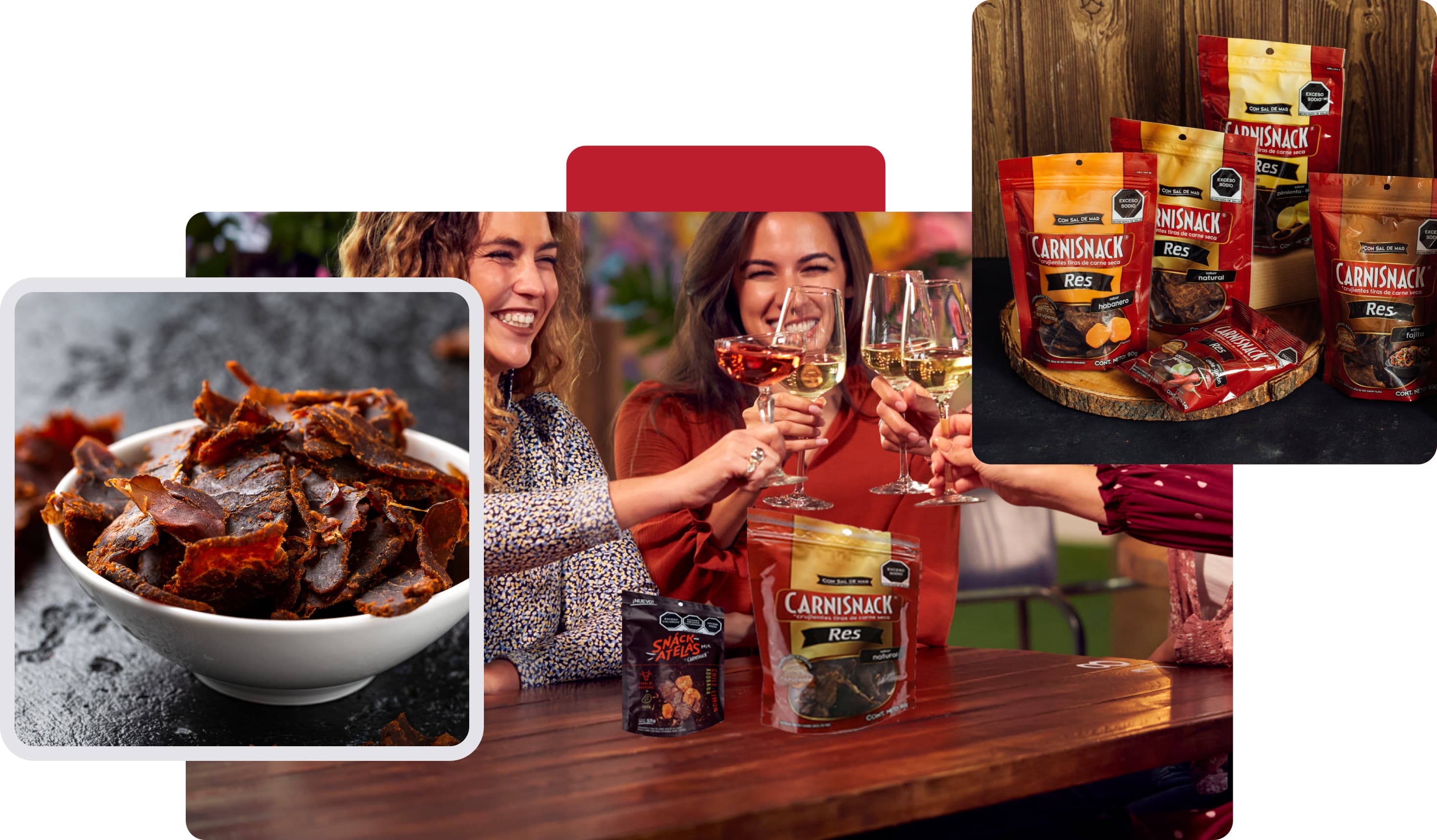 Mosaico sugerencias de consumo CarniSnack